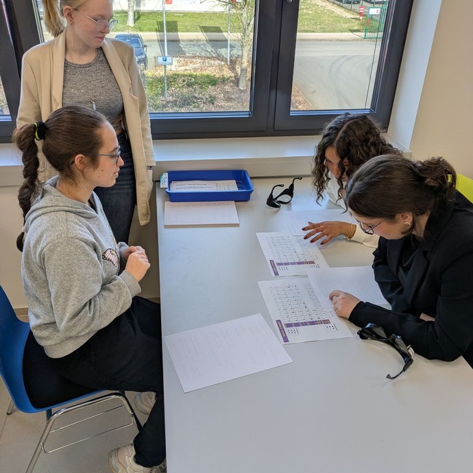 None (vergrößerte Bildansicht wird geöffnet)