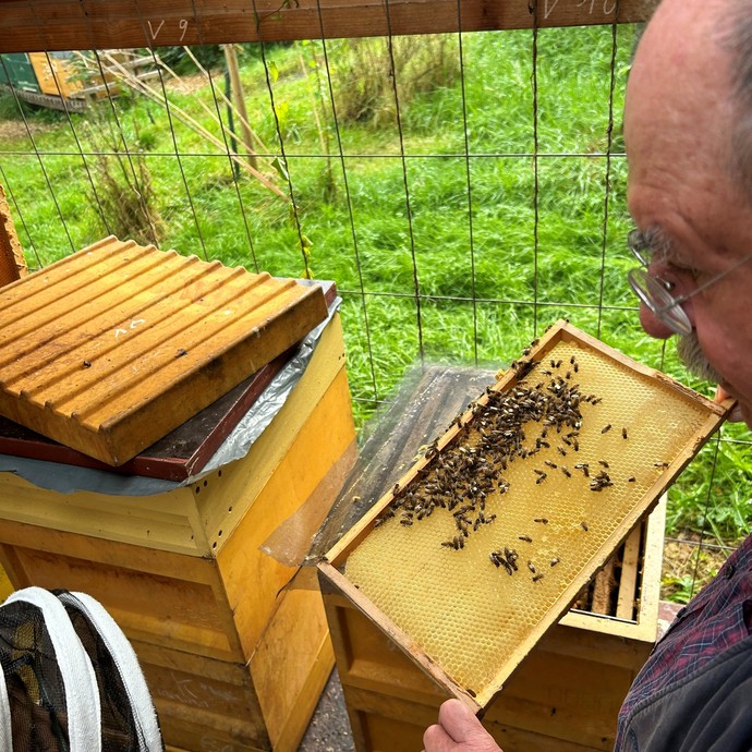 Imker mit Bienen (vergrößerte Bildansicht wird geöffnet)