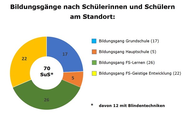 Grafische Darstellung der Bildungsgänge an der MBS, Stand 2020